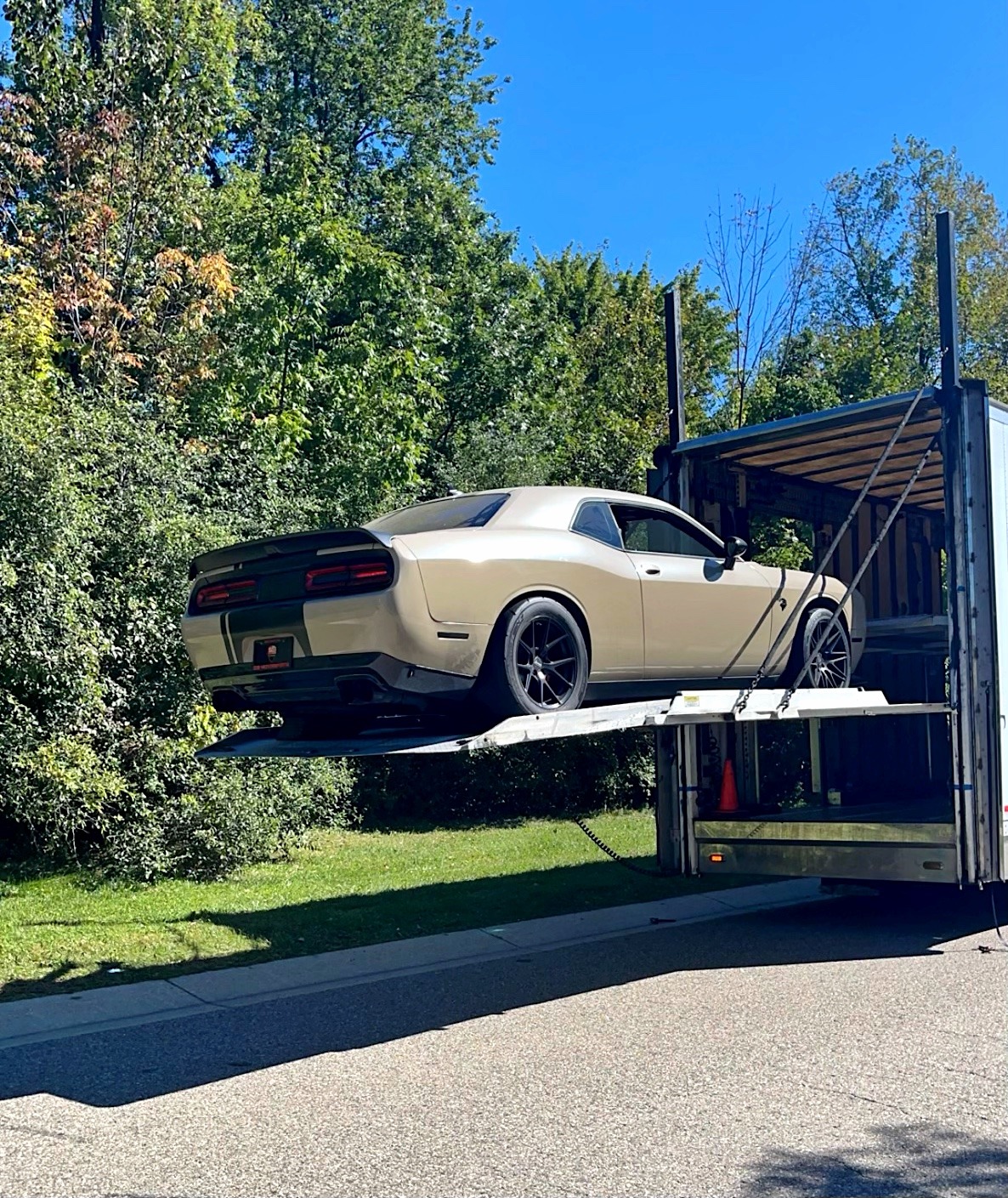 AF1QipMzPZyznRZTD5eMWp0Z6MapNSiHRTlnNs56FAsl=s1536_3_11zon