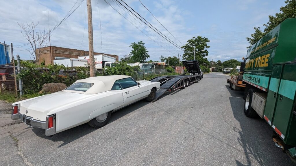 AF1QipNXzJa82WyL10F6WeMtBJ3hUE2it0Ide4QvqH0C=s1536_10_11zon