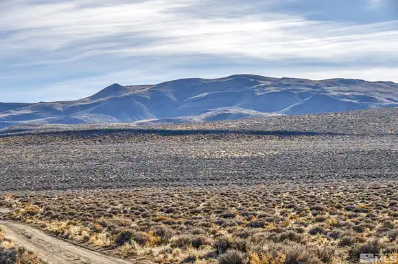 Car Transport Near Fallon, Nevada